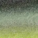 1666-15-4.webp