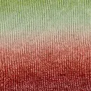 1666-17-4.webp