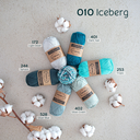 CC-Iceberg.webp