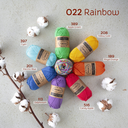 CC Rainbow.webp