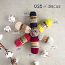 CC Hibiscus.webp