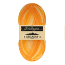 Arcadia 100g - 705 Outback