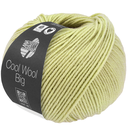 Cool Wool Big - 1029 Berkengroen