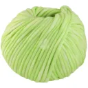 Gelato Vintage - 107 Lente groen/wit