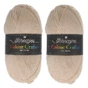 Scheepjes Colour Crafter Solid Pack 2x150g - 2010 Hasselt