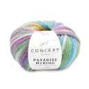 Paradise Merino - 500 Ecru-Groen-Blauw-Geel
