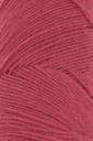 Jawoll - 0060 Rood