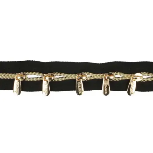 [23669-2] Spiraal rits metallic incl. 5 schuivers - 2m - goud